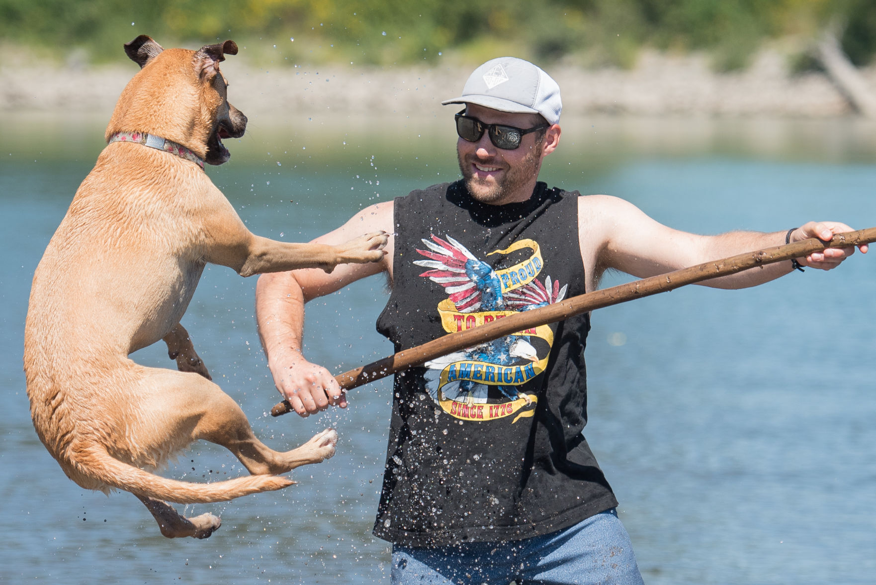 Playing fetch